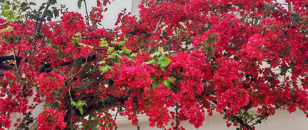 Stamatias Home, Fully Equipped Cottage 5 Minutes From The Sea Chania  Exterior photo
